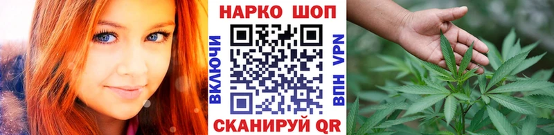 Названия наркотиков Шадринск Канабис  Alpha-PVP  МДМА  Меф 