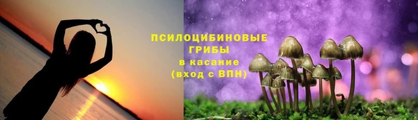 mdma Медвежьегорск