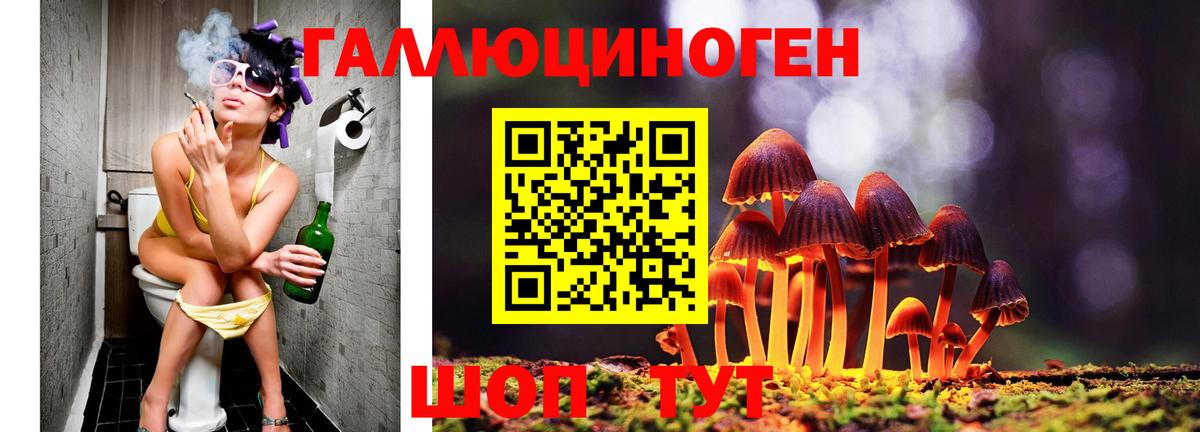 Псилоцибиновые грибы Cubensis  Вход с VPN  Галлюциногенные грибы Psilocybine cubensis  Шадринск 